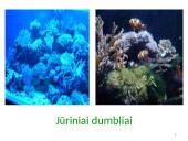 Dumbliai- vienaląsčiai ir daugialąsčiai protistai 17 puslapis