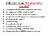 Dumbliai- vienaląsčiai ir daugialąsčiai protistai 3 puslapis