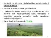 Dumbliai- vienaląsčiai ir daugialąsčiai protistai 7 puslapis