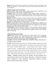 Ligos istorija: ūminis pielonefritas 3 puslapis