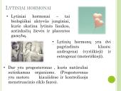 Lytiniai hormonai. Skaidrės 2 puslapis