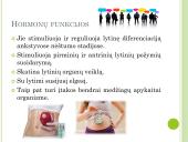 Lytiniai hormonai. Skaidrės 3 puslapis