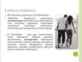 Lytiniai hormonai. Skaidrės 4 puslapis