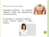 Lytiniai hormonai. Skaidrės 6 puslapis