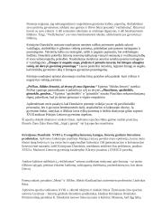 Kristijonas Donelaitis „Metai“ ir kūrinio teigiami ir neigiami veikėjai 2 puslapis