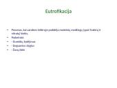 Aplinkos chemija. Skaidrės 10 puslapis