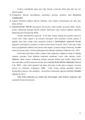 Ikimokyklinio amžiaus vaikų fizinis aktyvumas, fizinis pajėgumas bei jų sąsajos su tėvų fiziniu aktyvumu 16 puslapis