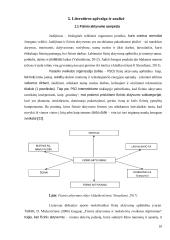 Ikimokyklinio amžiaus vaikų fizinis aktyvumas, fizinis pajėgumas bei jų sąsajos su tėvų fiziniu aktyvumu 9 puslapis