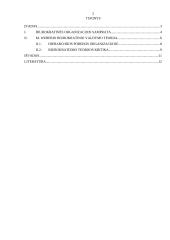 M. Weberio biurokratinės organizacijos modelis 2 puslapis