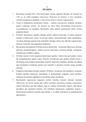 M. Weberio biurokratinės organizacijos modelis 11 puslapis