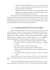 M. Weberio biurokratinės organizacijos modelis 6 puslapis