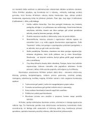 M. Weberio biurokratinės organizacijos modelis 7 puslapis