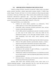 M. Weberio biurokratinės organizacijos modelis 8 puslapis