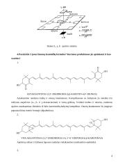 Maisto chemija ir analizė 4 puslapis