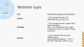 Nedarbas 11 puslapis