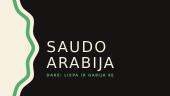 Saudo Arabija (skaidrės)