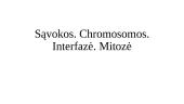 Sąvokos. Chromosomos. Interfazė. Mitozė