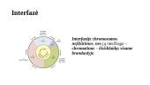 Sąvokos. Chromosomos. Interfazė. Mitozė 5 puslapis