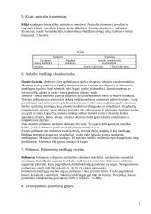 Mediena. Stambiamolekulinės medžiagos 3 puslapis