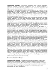 Mediena. Stambiamolekulinės medžiagos 4 puslapis