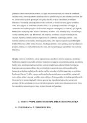 Sutuoktinių turto teisinis režimas (kursinis) 6 puslapis