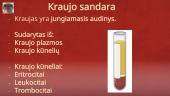Kraujas (apytaka, krešėjimas, sutrikimai) 3 puslapis
