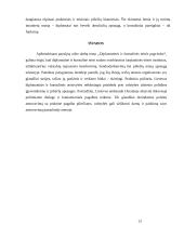 Diplomatinės ir konsulinės teisės pagrindai 12 puslapis