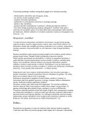 Mergvakaris anksčiau ir dabar 2 puslapis