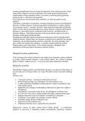 Mergvakaris anksčiau ir dabar 3 puslapis