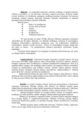 Mitybos fiziologija 2 puslapis
