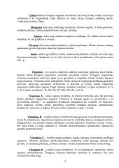 Mitybos fiziologija 4 puslapis
