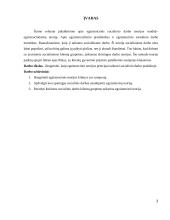 Egzistencinės teorijos taikymas socialiniame darbe 2 puslapis