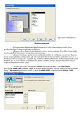 MS Access: darbo birža 5 puslapis