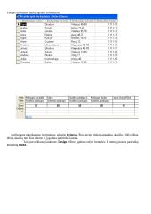 MS Access: darbo birža 6 puslapis