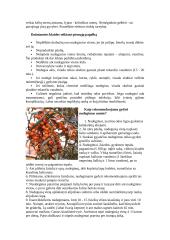 Nudegimai, jų rūšys, pirmoji pagalba 5 puslapis