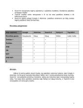 Paieškos sistemos 3 puslapis
