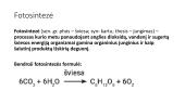 Fotosintezė (skaidrės) 4 puslapis