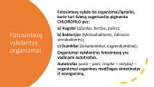 Fotosintezė (skaidrės) 6 puslapis