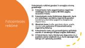 Fotosintezė (skaidrės) 8 puslapis