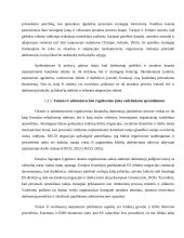 Kitataučių darbuotojų įdarbinimas 11 puslapis