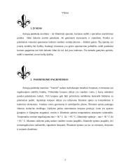 Patiekalų išdavimo marmitai 2 puslapis