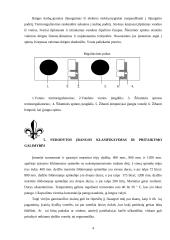Patiekalų išdavimo marmitai 4 puslapis