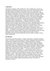 „Tūla“ (1993) išsami kūrinio analizė su skyrių perpasakojimu iš kūrinio 2 puslapis