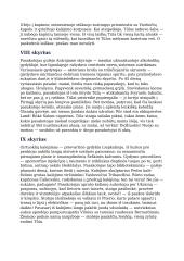 „Tūla“ (1993) išsami kūrinio analizė su skyrių perpasakojimu iš kūrinio 5 puslapis