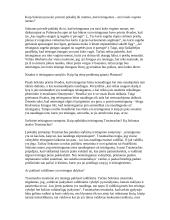 Platonas "Valstybė" interpretacija 2 puslapis