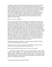 Platonas "Valstybė" interpretacija 4 puslapis