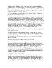 Platonas "Valstybė" interpretacija 5 puslapis