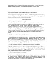 Platonas "Valstybė" interpretacija 6 puslapis