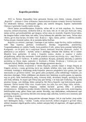 Igno Šeiniaus romano ,,Kuprelis“ pagrindinio veikėjo paveikslas