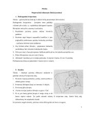 Pooperacinių ligonių reabilitacija 5 puslapis